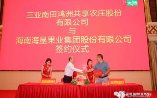 鸿洲科技有限公司，鸿洲科技有限公司法人是谁