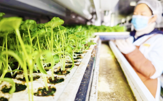 维京生物科技 “超级工厂”首批培育对象发布，浙江制造再拓市场，启动“商超计划”
